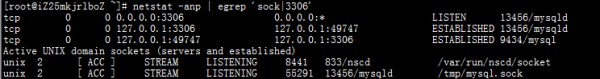 MySQL Socket 